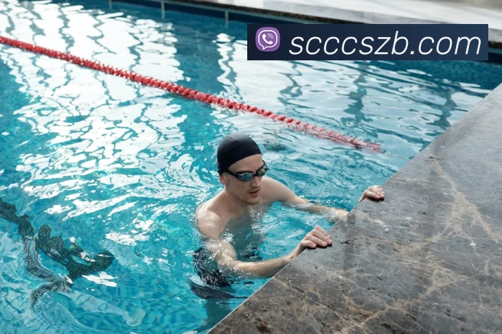 App Interface Preview